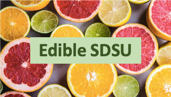 edible sdsu